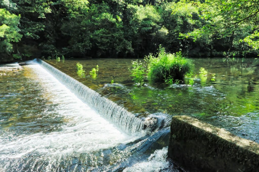 A small dam in the middle of a river